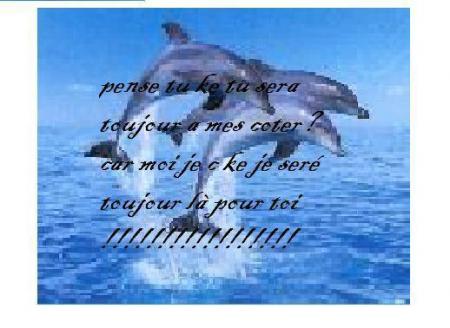 tu ou
